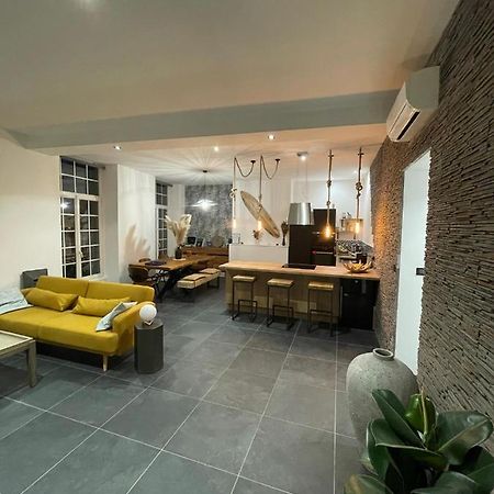 Appart 110M2 Terrasse Climatise Quartier Medieval Clermont-Ferrand Eksteriør billede